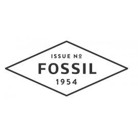 Часы наручные Fossil в Минске Часы наручные Fossil в Минске