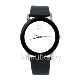 Женские наручные часы Calvin Klein CWC1023