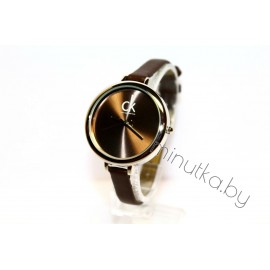 Женские наручные часы Calvin Klein CWC895